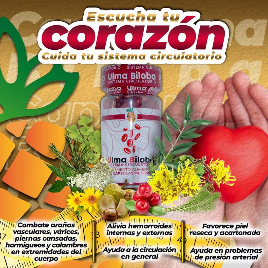 Ulma biloba capsulas