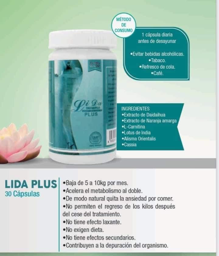 Lida Plus