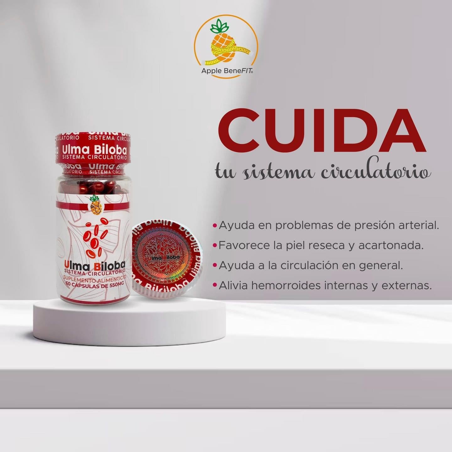 Ulma biloba capsulas