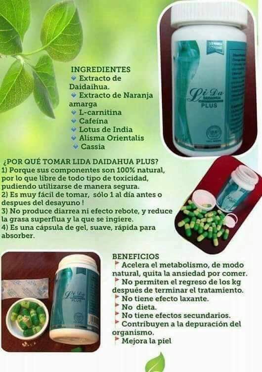 Lida Plus