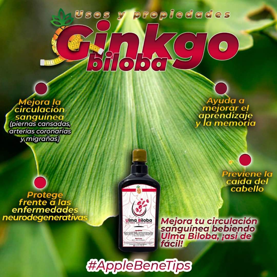Ulma Biloba vino