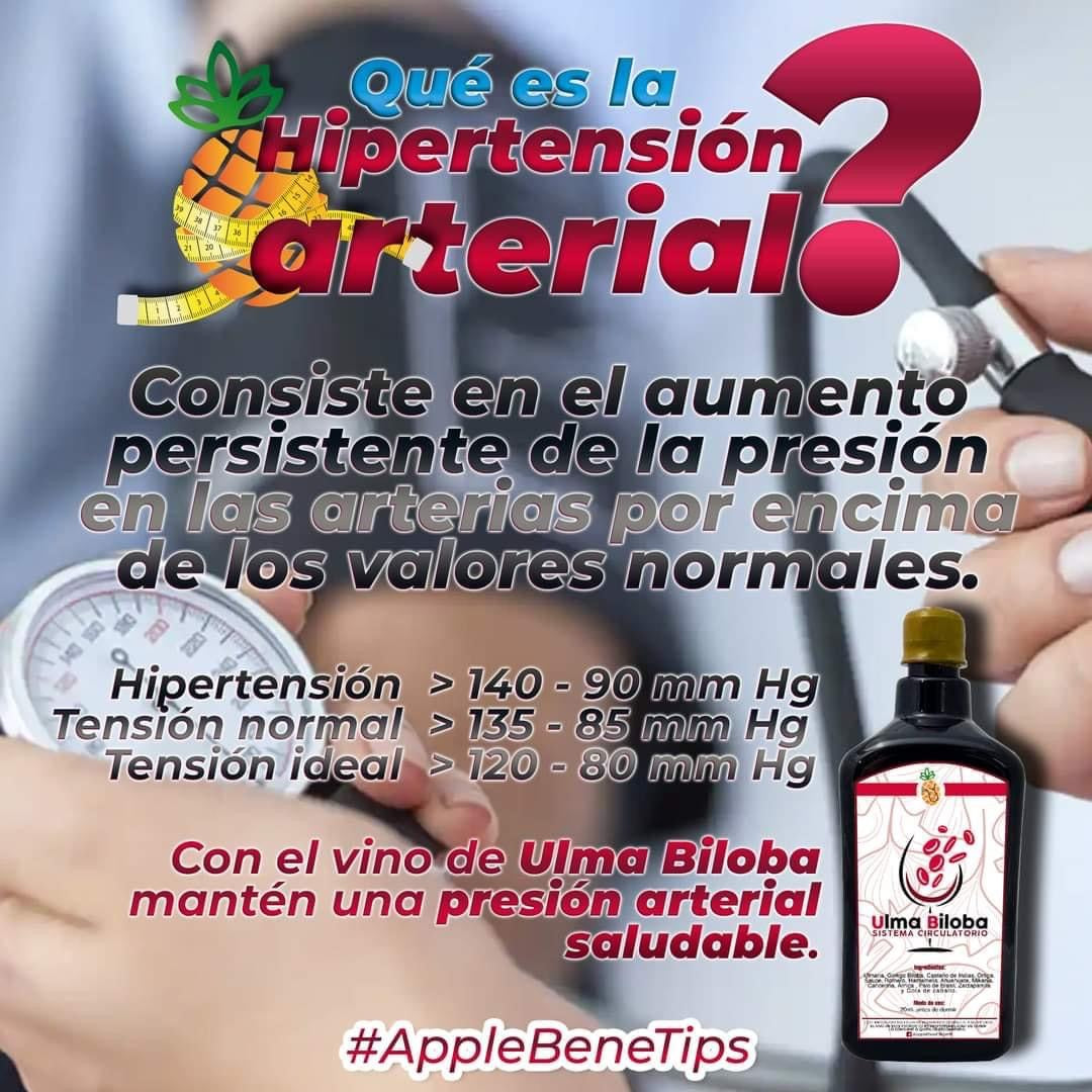 Ulma Biloba vino
